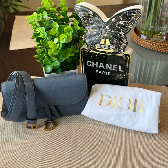 Dior Dark Gray Leather Beltbag - Picture 1 of 14